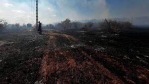 Nagy területen pusztított tűz Tapolcánál, helikopterekkel oltották