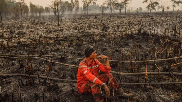 Közel félmillió áldozatot szedhet a hőség, lemodellezték az El Niño következményeit