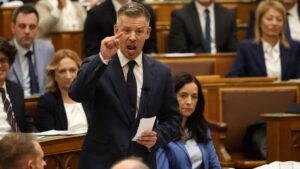 Magyar Péter megsértődött a kritikákra, szerinte lehet, hogy nem is kellett volna dízel-ártámogatás