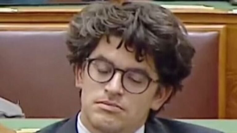 Velkey György elaludt Magyar Péter beszéde közben + videó