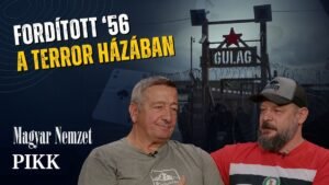 „Doktor Onoka” jogi esetei – Pikk Bayerrel és Ambrózyval + videó