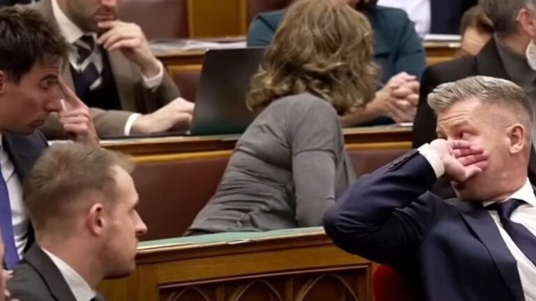 Schiffer András szerint ezért rúgta fel Magyar Péter a konszenzust a Médiatanács kapcsán