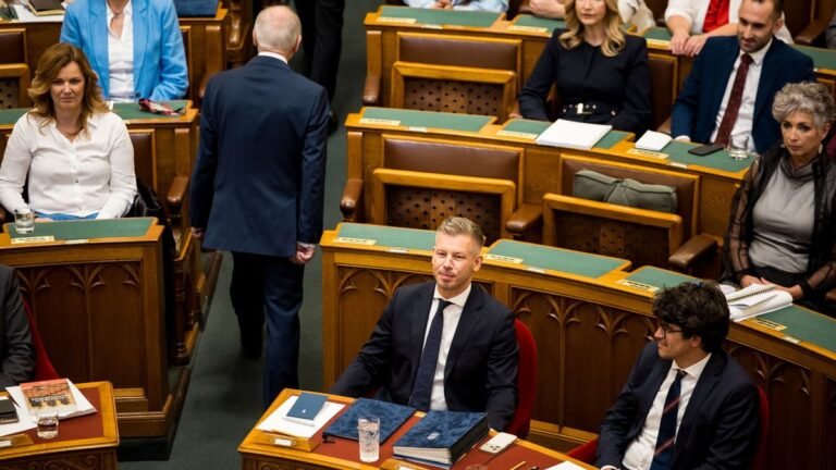 Schiffer Andráson próbált gúnyolódni Magyar Péter, de egyből visszadobták neki a labdát