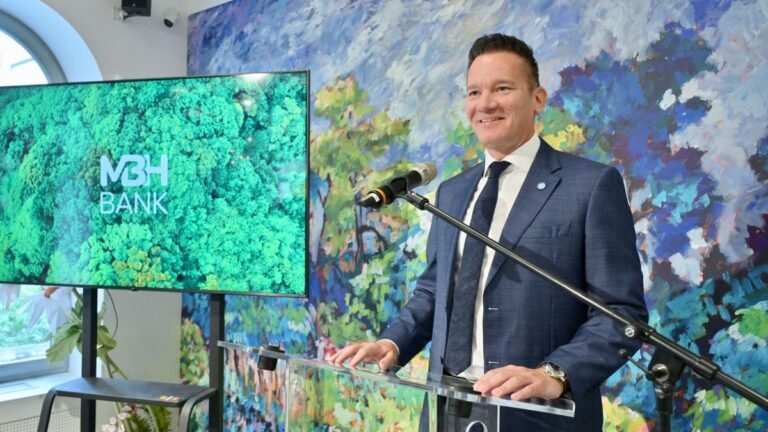 A természetbe fektet az MBH: erdőtelepítés és vízmegtartás a WWF-fel