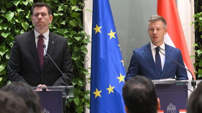 Vitézy: Az EU épp a vagyonnyilatkozatok hatósági ellenőrzését sürgeti