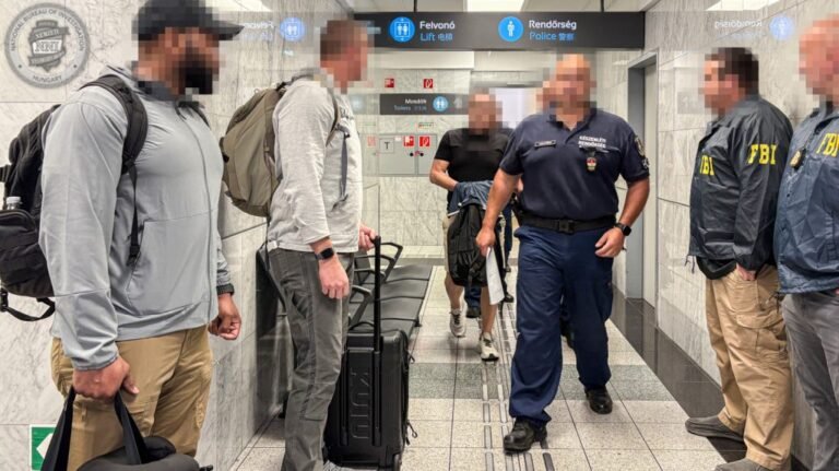 Kiadták az USA-nak a Magyarországon bujkáló szexuáliserőszak-tevőt
