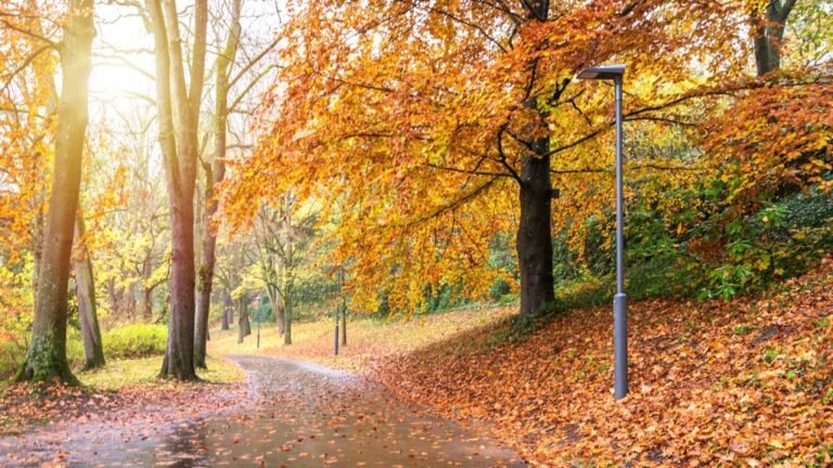 Tökéletes kirándulóidő a hétvégére