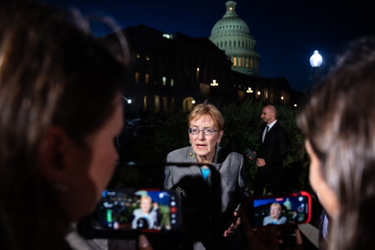 Democratic advisers are warning their candidates not to go too hard at AI