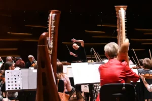 Megszűnhet a Pannon Filharmonikusok