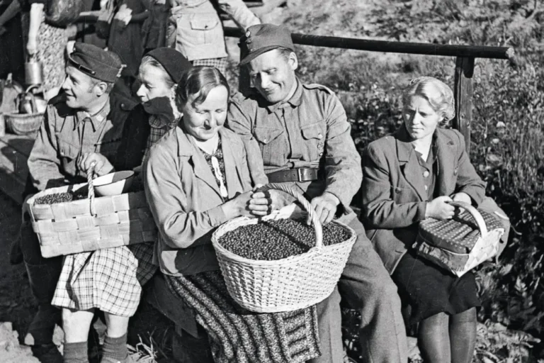 Mókus, varjú és keresztes vipera is került a finnek asztalára a második világháború idején