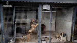 Az ebrendészeti rendszer korszerűsítését szorgalmazza Gajdos László