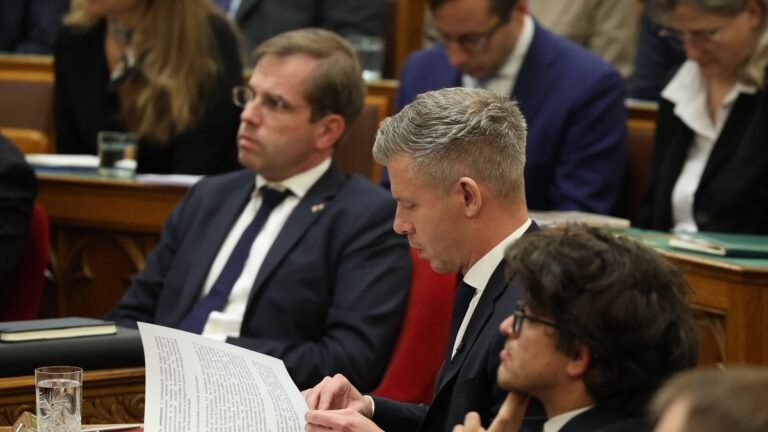 Egy napot várni kellett arra, hogy a legfontosabb számokat elmondja Magyar Péter