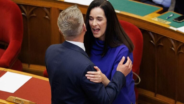 Magyar Péter most a 444 cikkén borult ki – állítása szerint éppen elnökökkel tárgyalt, de közben volt ideje kommentelni