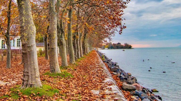 Őszi Balaton