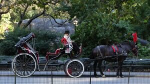 Central Park, végállomás: betiltják az ikonikus lovaskocsikat