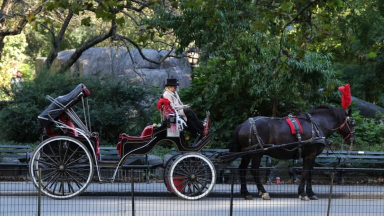 Central Park, végállomás: betiltják az ikonikus lovaskocsikat