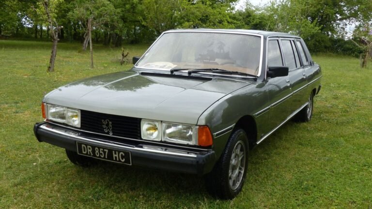 Luxusautót faragtak egy Peugeot-ból, és nem akárki utazott a hátsó ülésén