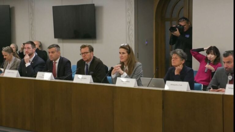 Az új ÁVH hatalmán még ők is megdöbbentek – László András a LIBE budapesti vizsgálatáról