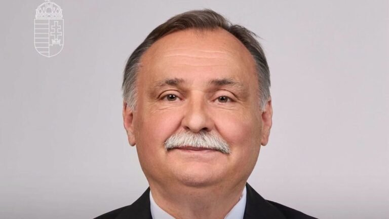 A WWF-et nem győzte meg Gajdos miniszter posztja, nagy fakivágásokra számítanak a magyarországi erdőkben
