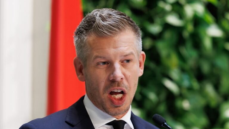 Magyar Péter szerint Schiffer András írni és olvasni sem tud