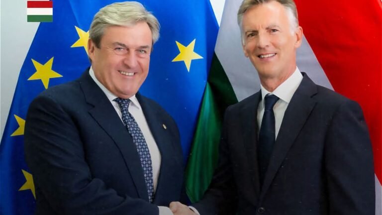Újabb multis került egy magyar nemzeti vállalat élére