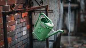 Szárazság után: eddig kell locsolni a kertet ősszel